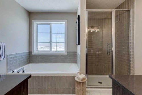 422 River Avenue, Cochrane, AB - Indoor Photo Showing Bathroom