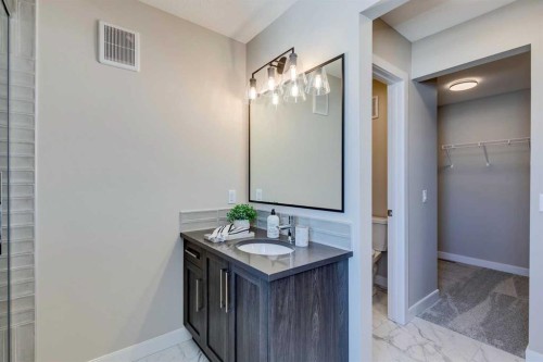 422 River Avenue, Cochrane, AB - Indoor Photo Showing Bathroom