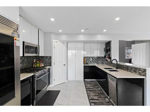 319 Coventry Road Ne, Calgary, AB - Indoor Photo Showing Kitchen With Double Sink With Upgraded Kitchen