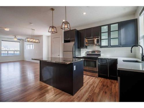 224 Copperstone Cove Se, Calgary, AB - Indoor Photo Showing Kitchen With Upgraded Kitchen