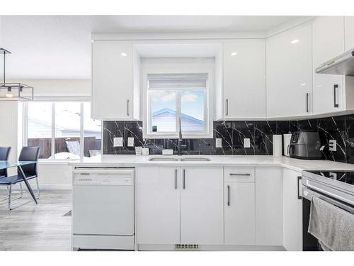 30 Saddlemead Way Ne, Calgary, AB - Indoor Photo Showing Kitchen With Double Sink