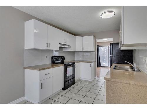 172 Abinger Crescent Ne, Calgary, AB - Indoor Photo Showing Kitchen With Double Sink