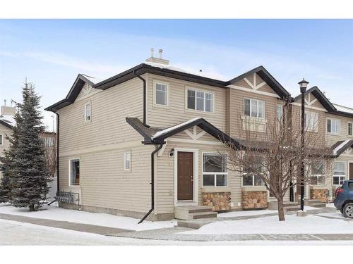 154 Saddlebrook Point Ne, Calgary, AB - Outdoor