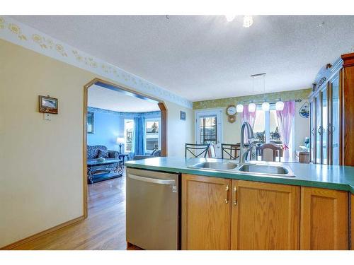 115 Coral Springs Circle Ne, Calgary, AB - Indoor Photo Showing Kitchen With Double Sink