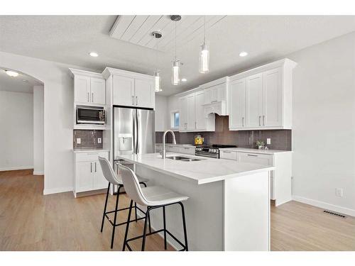 519 Auburn Bay Heights Se, Calgary, AB - Indoor Photo Showing Kitchen With Double Sink