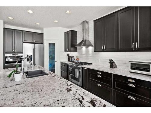 110 Royal Oak Point Nw, Calgary, AB - Indoor Photo Showing Kitchen With Stainless Steel Kitchen With Double Sink With Upgraded Kitchen