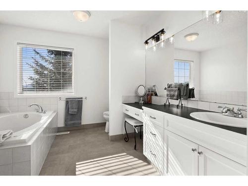 110 Royal Oak Point Nw, Calgary, AB - Indoor Photo Showing Bathroom