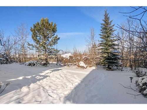 110 Royal Oak Point Nw, Calgary, AB - Outdoor With View