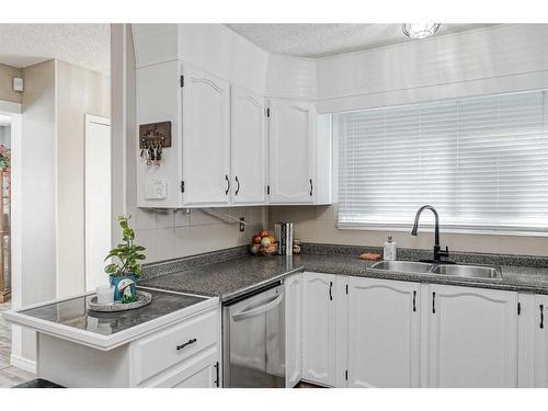 28 Beddington Crescent Ne, Calgary, AB - Indoor Photo Showing Kitchen With Double Sink