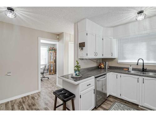 28 Beddington Crescent Ne, Calgary, AB - Indoor Photo Showing Kitchen With Double Sink