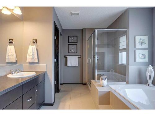 692 New Brighton Drive Se, Calgary, AB - Indoor Photo Showing Bathroom