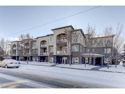 208-201 20 Avenue NE Calgary, AB T2E 1R1