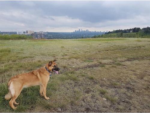 414 Wildwood Drive Sw, Calgary, AB - Outdoor With View