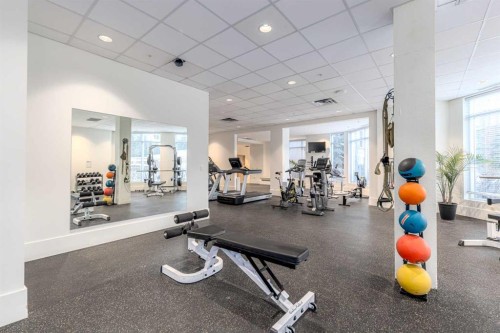 702-600 Princeton Way Sw, Calgary, AB - Indoor Photo Showing Gym Room