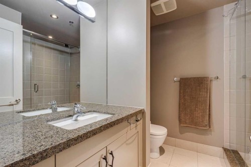 702-600 Princeton Way Sw, Calgary, AB - Indoor Photo Showing Bathroom