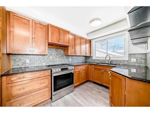 1960 Cottonwood Crescent Se, Calgary, AB - Indoor Photo Showing Kitchen