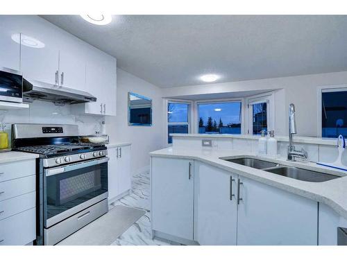 143 Taralake Way Ne, Calgary, AB - Indoor Photo Showing Kitchen With Double Sink