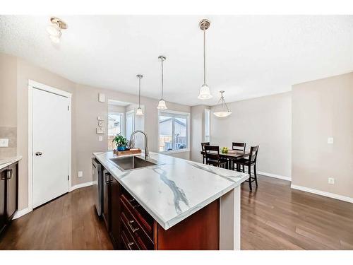 69 New Brighton Green Se, Calgary, AB - Indoor Photo Showing Kitchen With Upgraded Kitchen