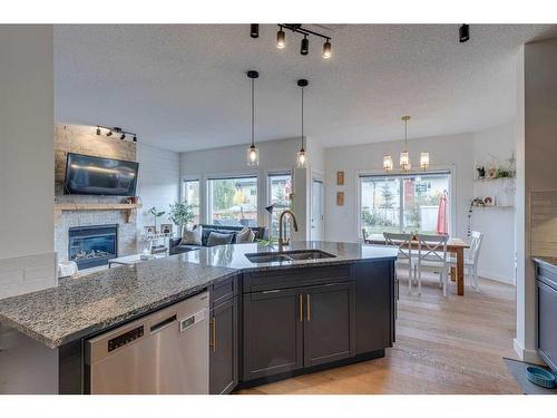 109 Evanspark Gardens Nw, Calgary, AB - Indoor Photo Showing Kitchen With Fireplace With Double Sink