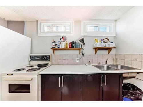 216 Van Horne Crescent Ne, Calgary, AB - Indoor Photo Showing Kitchen With Double Sink