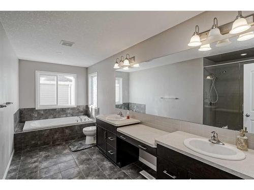 40 Cityscape Crescent Ne, Calgary, AB - Indoor Photo Showing Bathroom