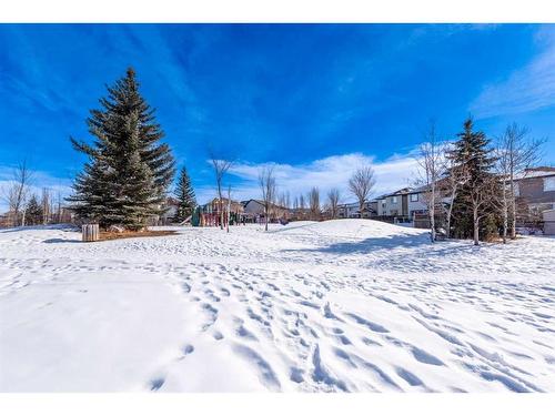 53 Auburn Bay Green Se, Calgary, AB - Outdoor