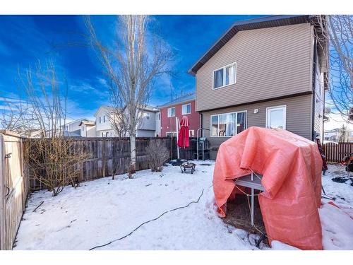 53 Auburn Bay Green Se, Calgary, AB - Outdoor