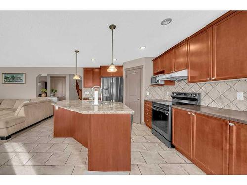 175 Panamount Street Nw, Calgary, AB - Indoor Photo Showing Kitchen With Stainless Steel Kitchen