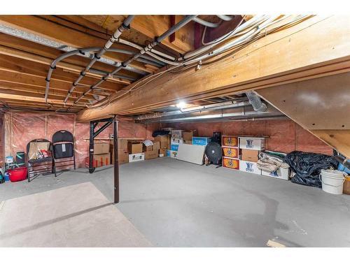 20 Sun Harbour Close Se, Calgary, AB - Indoor Photo Showing Basement