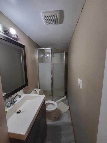 202 Saratoga Close Ne, Calgary, AB - Indoor Photo Showing Bathroom