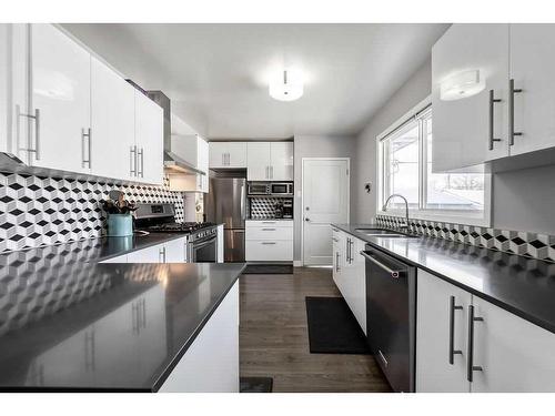 1203 Mackid Road Ne, Calgary, AB - Indoor Photo Showing Kitchen With Stainless Steel Kitchen With Upgraded Kitchen