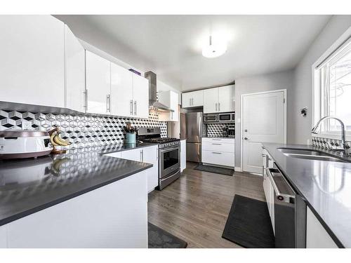 1203 Mackid Road Ne, Calgary, AB - Indoor Photo Showing Kitchen With Double Sink With Upgraded Kitchen