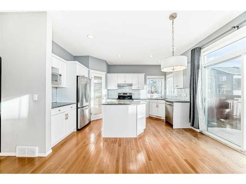 18 Coral Reef Crescent Ne, Calgary, AB - Indoor Photo Showing Kitchen With Upgraded Kitchen