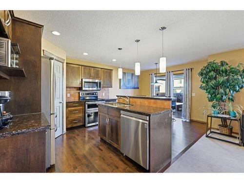 304 New Brighton Place Se, Calgary, AB - Indoor Photo Showing Kitchen With Stainless Steel Kitchen With Upgraded Kitchen