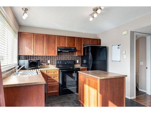 302 Elgin View Se, Calgary, AB - Indoor Photo Showing Kitchen With Double Sink