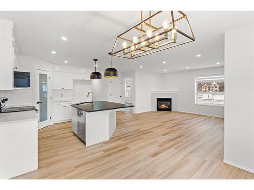 9 Saddlemead Road Ne, Calgary, AB - Indoor Photo Showing Kitchen With Upgraded Kitchen