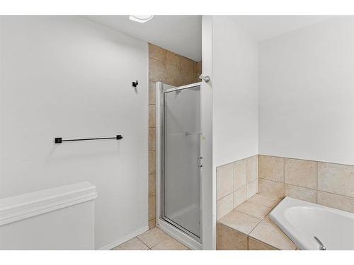 9 Saddlemead Road Ne, Calgary, AB - Indoor Photo Showing Bathroom