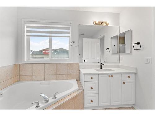 9 Saddlemead Road Ne, Calgary, AB - Indoor Photo Showing Bathroom