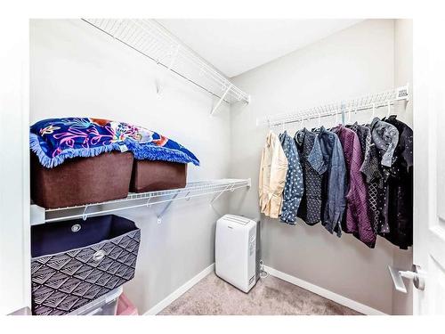 163 Mahogany Grove Se, Calgary, AB - Indoor With Storage