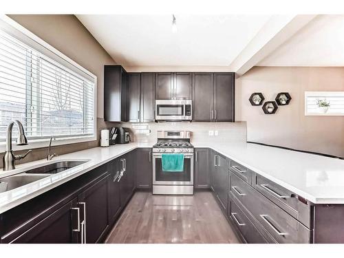 163 Mahogany Grove Se, Calgary, AB - Indoor Photo Showing Kitchen With Double Sink With Upgraded Kitchen