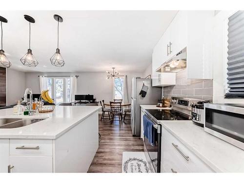 431 Malvern Close Ne, Calgary, AB - Indoor Photo Showing Kitchen With Double Sink With Upgraded Kitchen