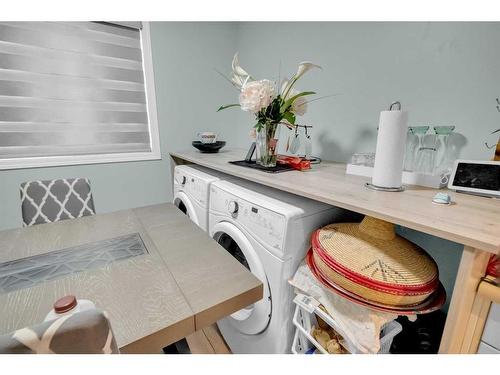 2339 Vista Crescent Ne, Calgary, AB - Indoor Photo Showing Laundry Room