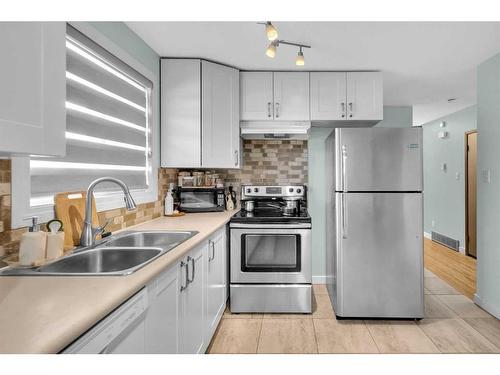 2339 Vista Crescent Ne, Calgary, AB - Indoor Photo Showing Kitchen With Double Sink