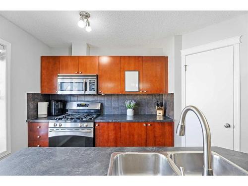 149 New Brighton Green Se, Calgary, AB - Indoor Photo Showing Kitchen With Double Sink