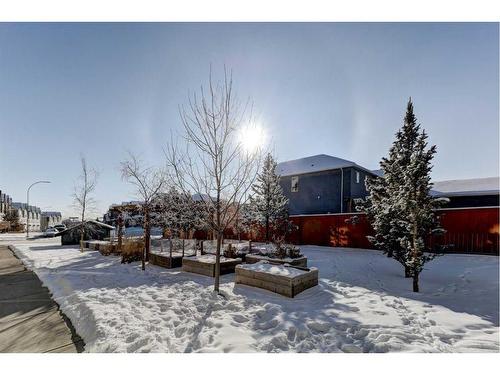 45 Nolanlake Cove Nw, Calgary, AB - Outdoor