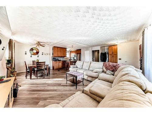 484 Queen Charlotte Road Se, Calgary, AB - Indoor Photo Showing Living Room