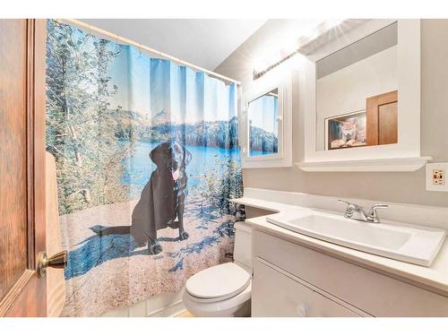 54 St Monica Avenue Se, Calgary, AB - Indoor Photo Showing Bathroom