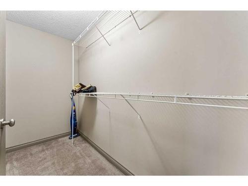 233 Bridlemeadows Common Sw, Calgary, AB - Indoor With Storage