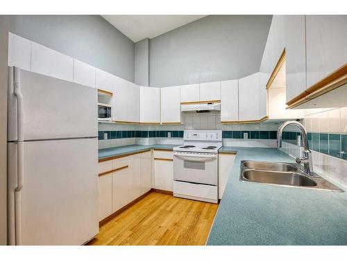 28 Harvest Oak Circle Ne, Calgary, AB - Indoor Photo Showing Kitchen With Double Sink