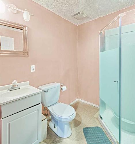 42 Prestwick Place, Calgary, AB - Indoor Photo Showing Bathroom